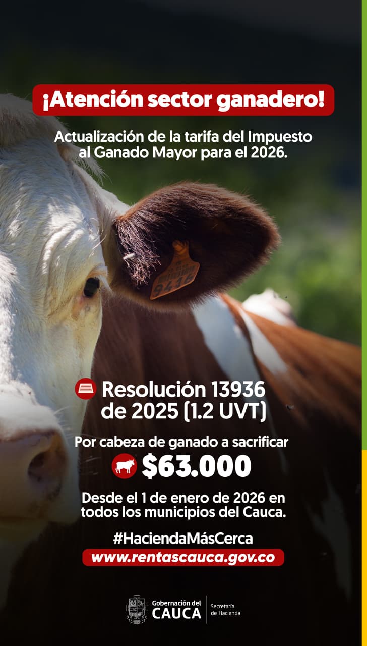 Artículo 2