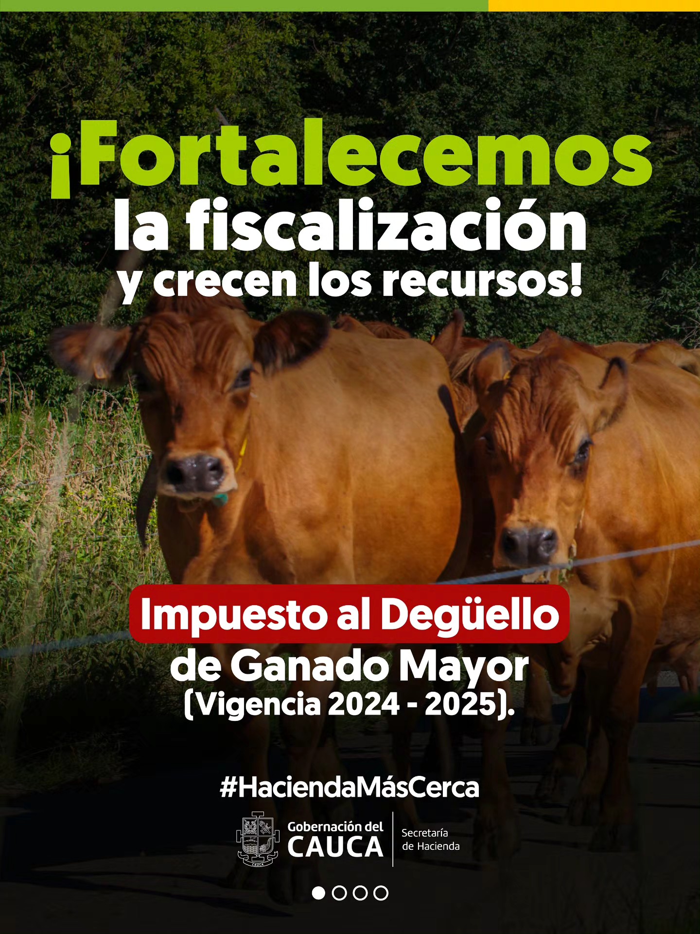 Artículo 2